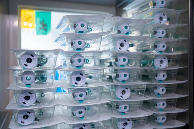 Trocar Descartável Tipo Hasson de 12mm com Certificação CE para Cirurgia Laparoscópica Surgsci Medical 5