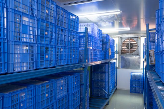 O CE personalizado marcou 12mm Hasson descartável Trocar para a cirurgia Laparoscopic 7