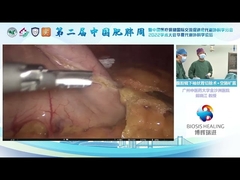 The 2nd China Obesity Week And China Metabolic Surgery Forum 2022