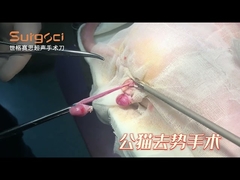 Cat Neuter Surgery | Surgsci Ultrasonic Scalpel
